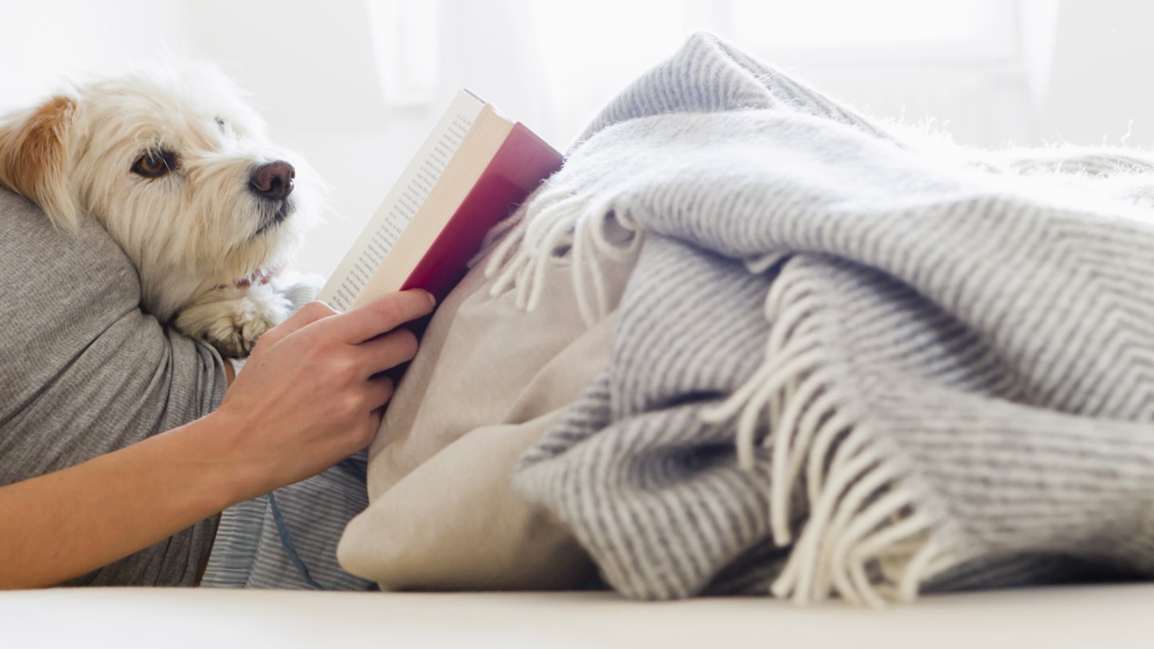 Recommended Reading: Happy Customers Push Chewy to Profits