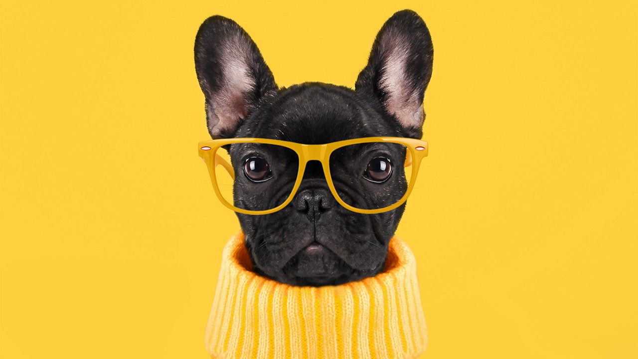 Customer Love Champion: Warby Parker